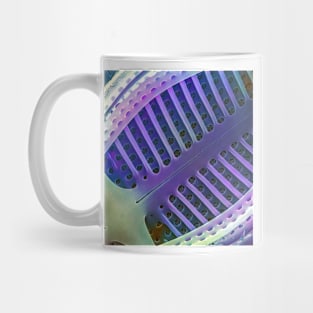 Achnanthes - internal view Mug